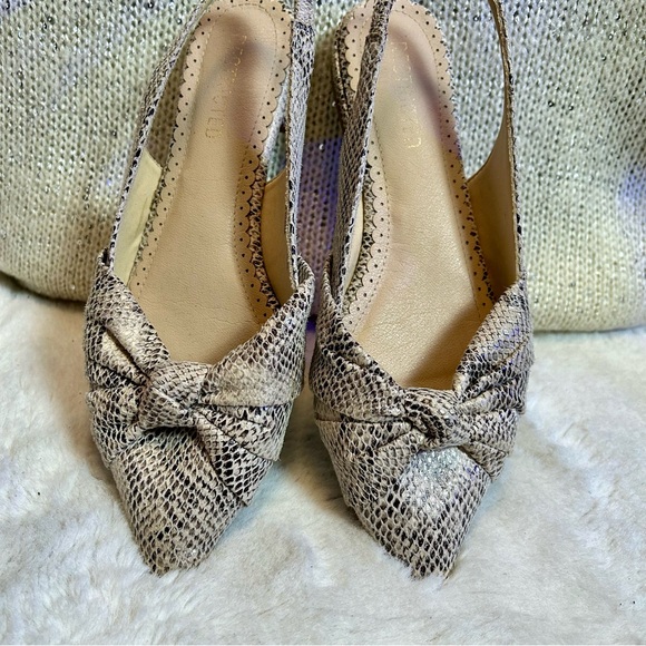 Cream & Black Snakeskin Pointed Toe Slingback Flat - Picture 2 of 9